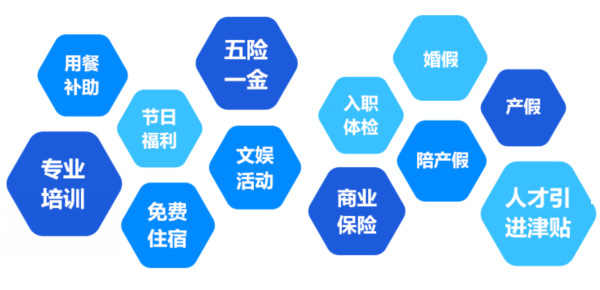 提供全面、系統(tǒng)、專業(yè)的培訓(xùn)和廣闊的<br>職業(yè)發(fā)展空間和提升機會